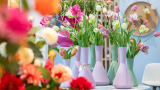 Stand: Drypot indoor, Living – Dekoration, Halle 9
